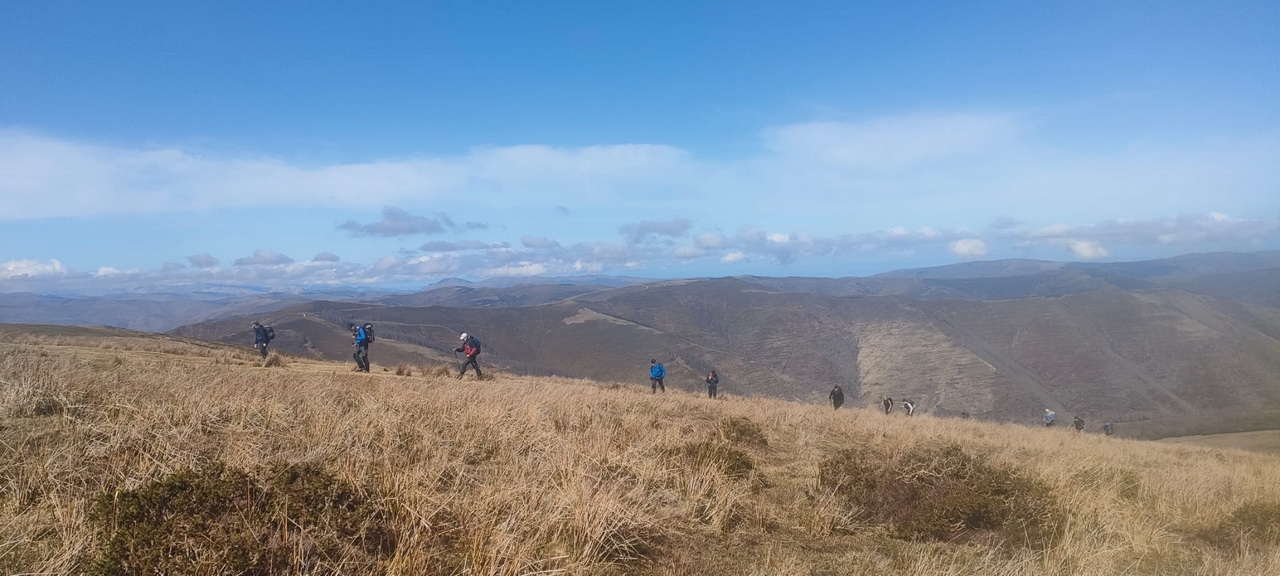 WhatsApp Image 2026-03-08 at 21.27.49 (3)